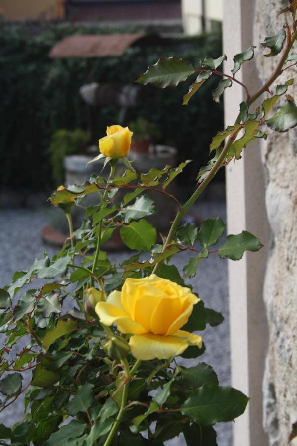 לינה וארוחת בוקר Passirano Cascina San Martino מראה חיצוני תמונה